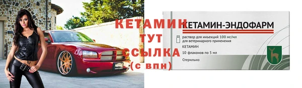 индика Белокуриха