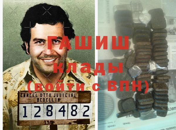индика Белокуриха
