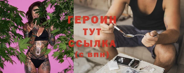 индика Белокуриха