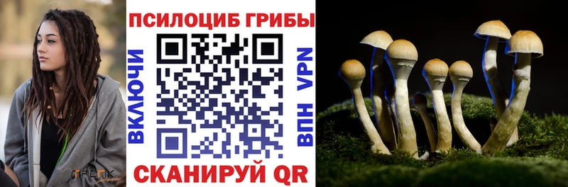 Галлюциногенные грибы мухоморы  Сегежа 