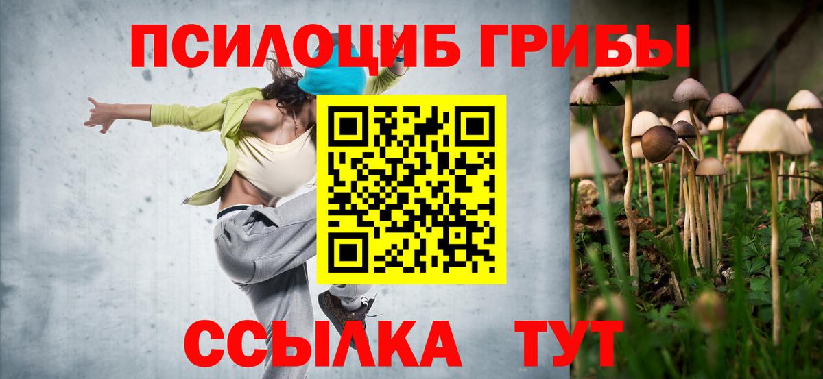 Галлюциногенные грибы Psilocybe Сегежа