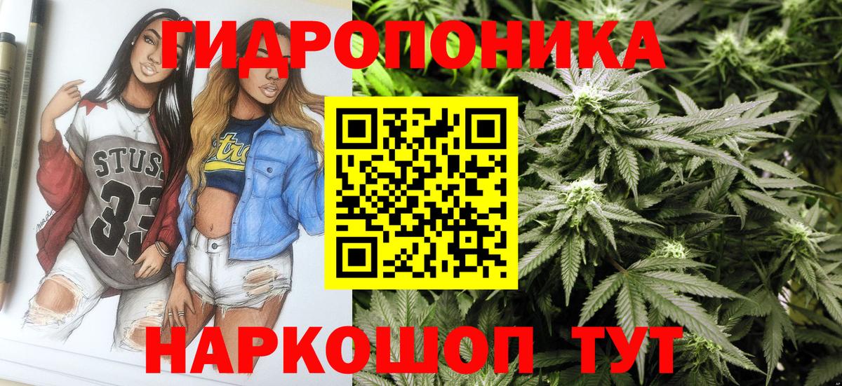 Конопля OG Kush Сегежа